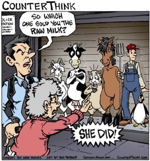Milk-Cartoon-SheDid.jpg