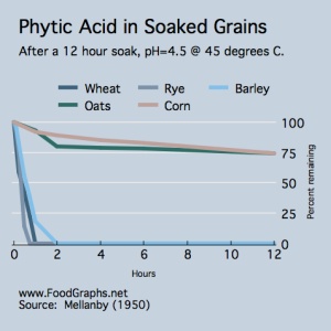Soaked-grains.jpg